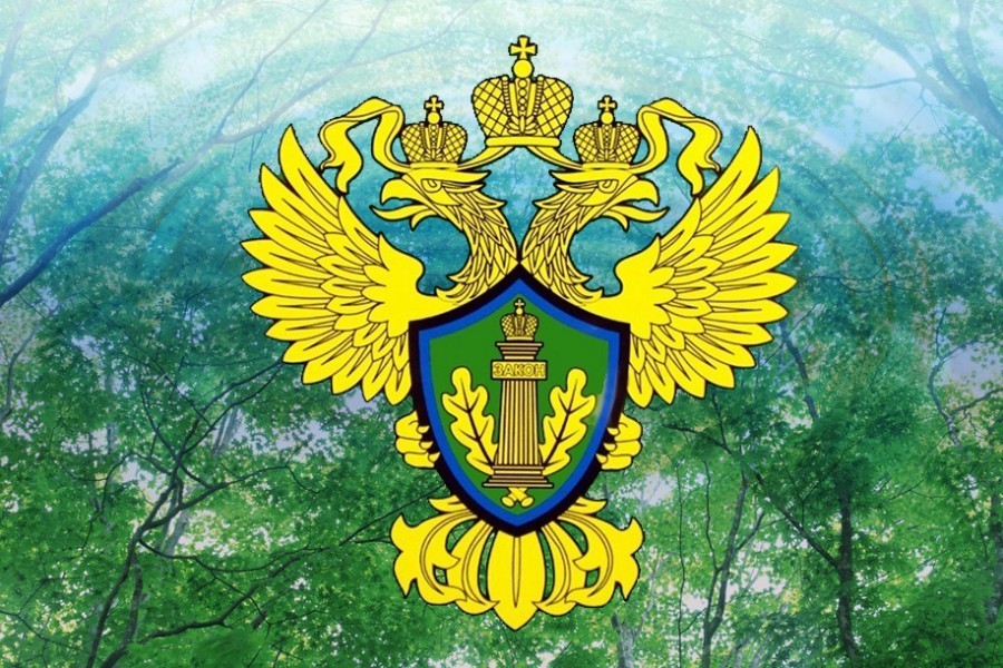 Алтайская межрайонная природоохранная прокуратура информирует.
