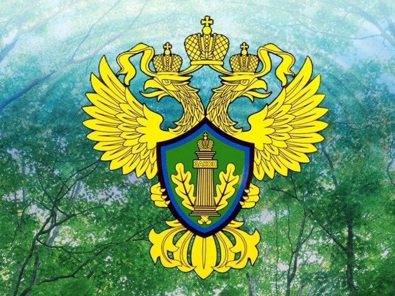 Алтайская межрайонная природоохранная прокуратура информирует.