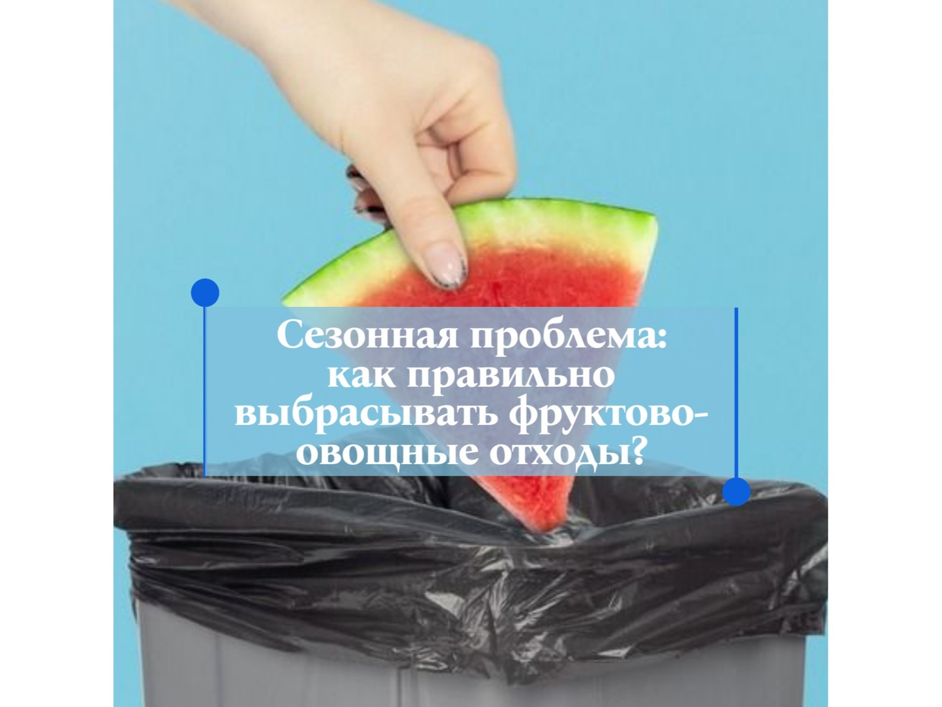Сезонная проблема: как правильно выбрасывать фруктово-овощные отходы?.