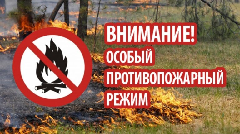 Постановлением Правительства Алтайского края от 27.04.2023 №138 с 27 апреля 2023 года на территории Алтайского края установлен особый противопожарный режим