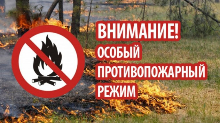 Постановлением Правительства Алтайского края от 27.04.2023 №138 с 27 апреля 2023 года на территории Алтайского края установлен особый противопожарный режим.